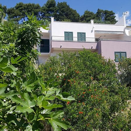 Apartments Pero ポドゥゴラ エクステリア 写真